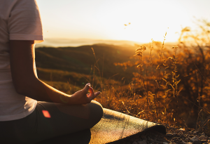 gestión emocional adultos